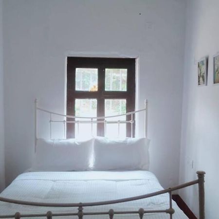 A Quaint Cottage With Rajah'S Seat View. Madikeri Exteriör bild