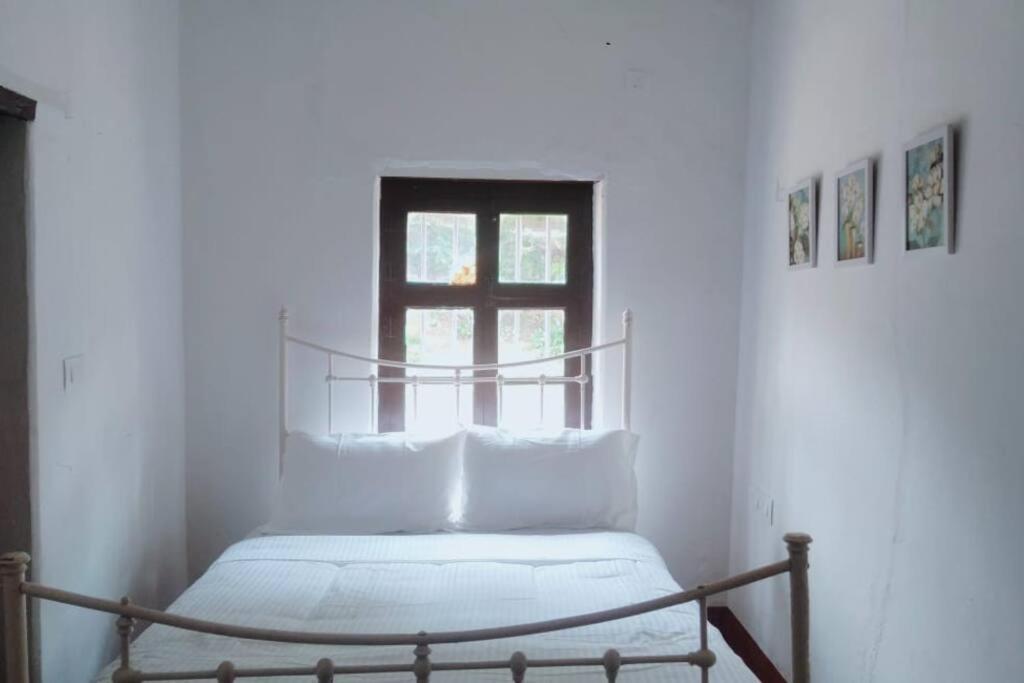 A Quaint Cottage With Rajah'S Seat View. Madikeri Exteriör bild