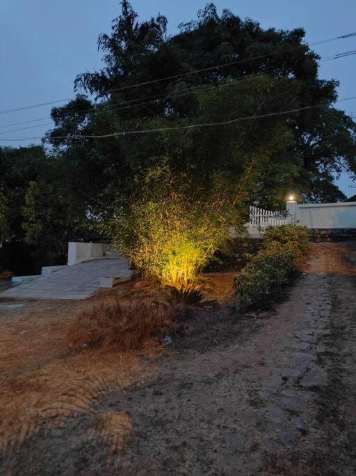 A Quaint Cottage With Rajah'S Seat View. Madikeri Exteriör bild