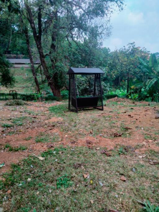A Quaint Cottage With Rajah'S Seat View. Madikeri Exteriör bild