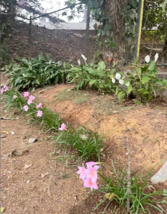 A Quaint Cottage With Rajah'S Seat View. Madikeri Exteriör bild